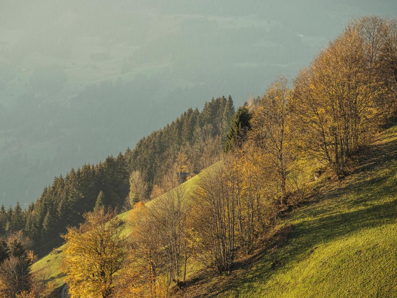 Hanserhof Цел ам Цилер Екстериор снимка